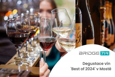 Degustace vín 'Best of 2024' v Mostě: Nezapomenutelný zážitek pro milovníky vína